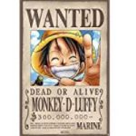 poster recompensa luffy
