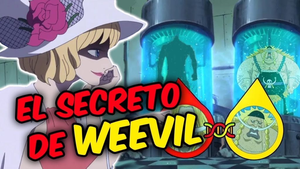 Teoría One Piece: ¡El impactante origen de Weevil! ¿Clon o hijo legítimo?