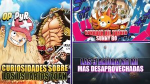 Curiosidades Zoan One Piece: ¡Ganador Torneo SunnyGO!