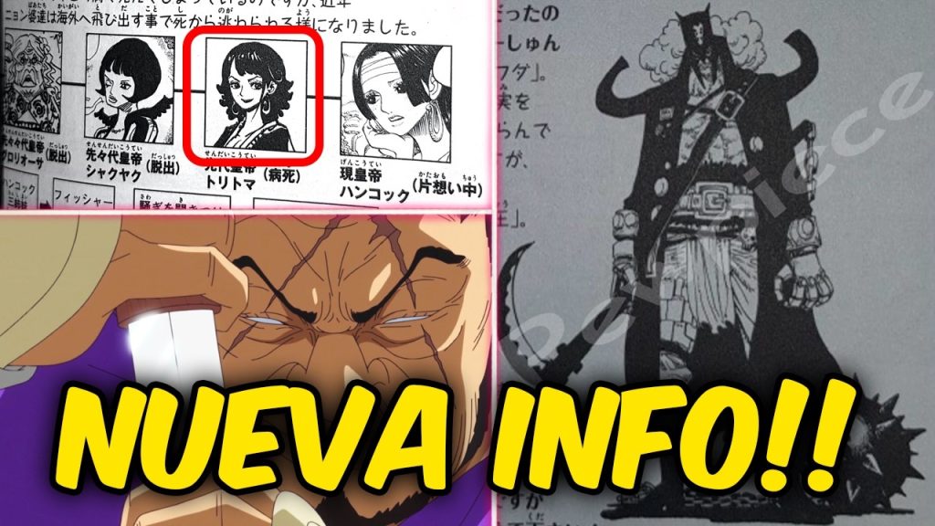 El Anterior Shichibukai: ¡Nueva Espada Suprema One Piece! SBS 109 Revelado